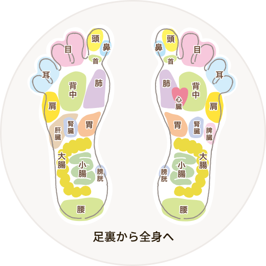 足裏から全身へ